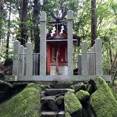 投稿日:2017年5月14日 写真