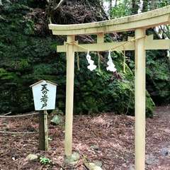 投稿日:2017年5月14日 写真