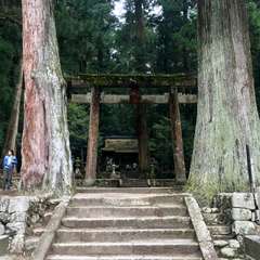 投稿日:2017年5月14日 写真