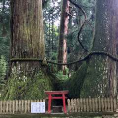 投稿日:2017年5月14日 写真