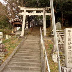写真