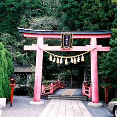 天河大辨財天社 本殿(投稿日:2025年8月3日) 写真