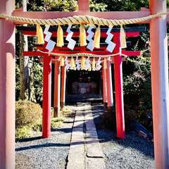 稲荷神社(投稿日:2024年2月12日) 写真