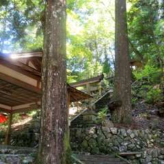 杉谷八幡神社 拝殿の下から本殿を望む(投稿日:2023年6月18日) 写真