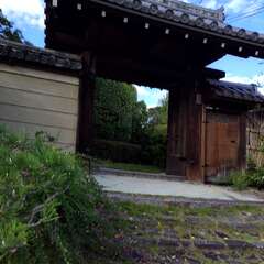 唐招提寺 塔頭 西方院(投稿日:2025年10月28日) 写真