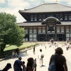 投稿日:2019年7月23日 写真