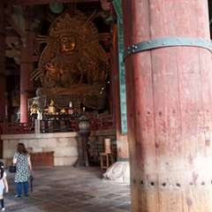 投稿日:2020年8月12日 写真