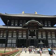 投稿日:2019年5月4日 写真