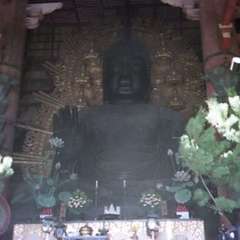 投稿日:2019年7月23日 写真