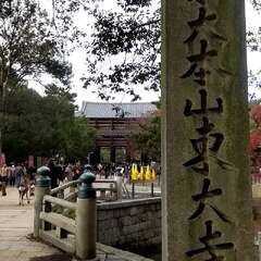 出張中にて(投稿日:2025年12月14日) 写真