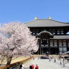 投稿日:2020年12月12日 写真