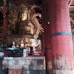 投稿日:2020年8月12日 写真