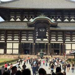 投稿日:2016年4月25日 写真