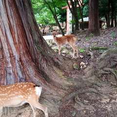 投稿日:2020年8月12日 写真
