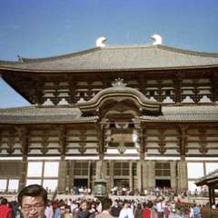 投稿日:2019年7月23日 写真