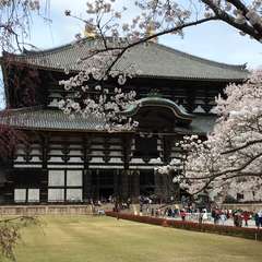 投稿日:2016年6月10日 写真
