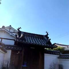 豊成山高坊 高林寺入口(投稿日:2025年11月20日) 写真