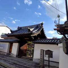 安養山 阿弥陀寺入口(投稿日:2025年11月20日) 写真