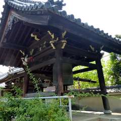 投稿日:2016年8月16日 写真