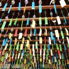 投稿日:2016年8月16日 写真