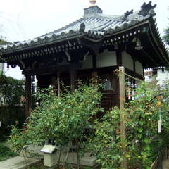 投稿日:2019年9月10日 写真