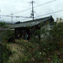 投稿日:2019年9月10日 写真