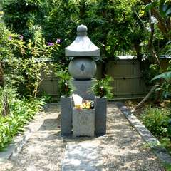 投稿日:2016年8月16日 写真