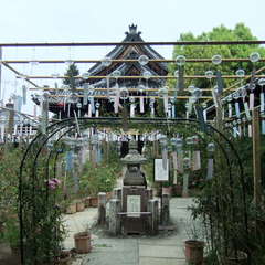 投稿日:2019年9月10日 写真