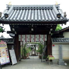 投稿日:2019年9月10日 写真