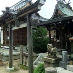 投稿日:2019年9月10日 写真