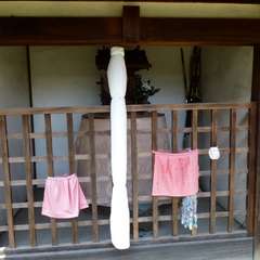 投稿日:2016年8月16日 写真