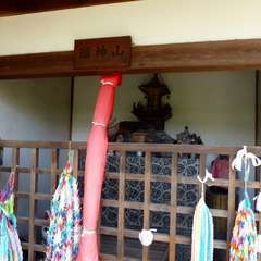 投稿日:2016年8月16日 写真