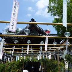 投稿日:2016年8月16日 写真