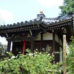 投稿日:2016年8月16日 写真