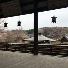 投稿日:2017年4月7日 写真