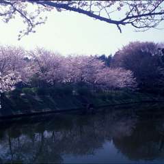 投稿日:2018年2月16日 写真