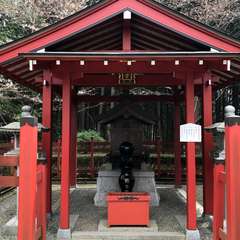 投稿日:2017年4月7日 写真