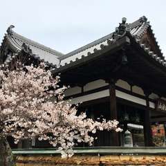 投稿日:2017年4月7日 写真