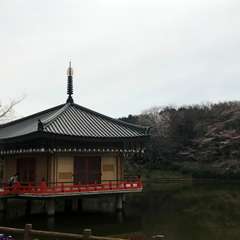 投稿日:2017年4月7日 写真