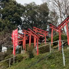 投稿日:2017年4月7日 写真