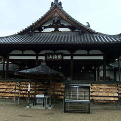 投稿日:2019年9月10日 写真