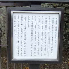 投稿日:2019年9月10日 写真