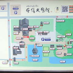 投稿日:2019年9月10日 写真