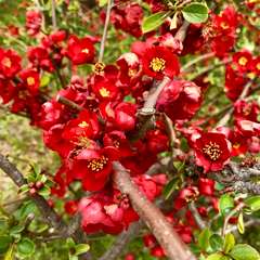 投稿日:2017年4月7日 写真