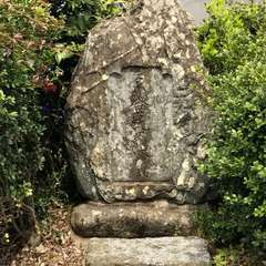 投稿日:2017年4月7日 写真