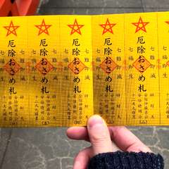 投稿日:2018年2月24日 写真