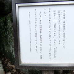 投稿日:2019年9月10日 写真