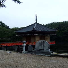 投稿日:2019年9月10日 写真