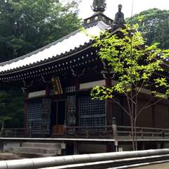 投稿日:2016年6月17日 写真