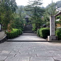 投稿日:2019年9月9日 写真